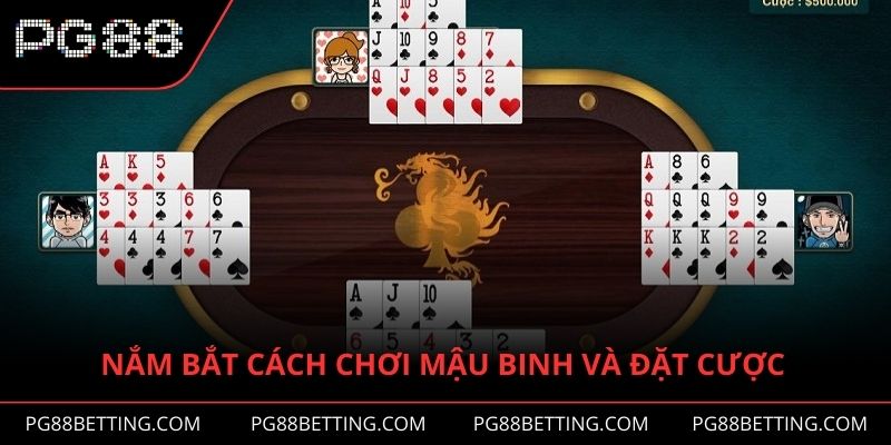 Nắm bắt cách chơi Mậu Binh và tham gia đặt cược